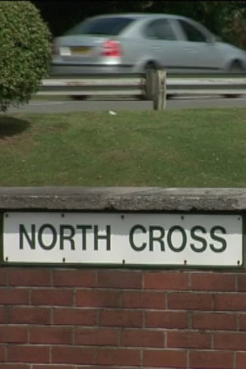 North Cross (2008) poster