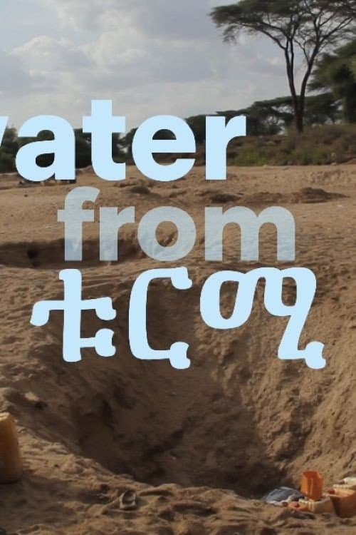 The water from Turmi (2026) poster