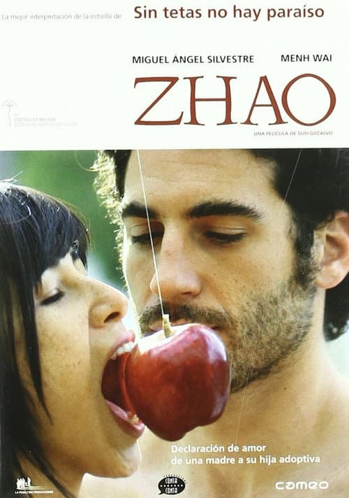 Zhao (2009) poster