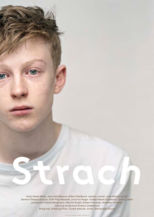 Strach (2013) poster