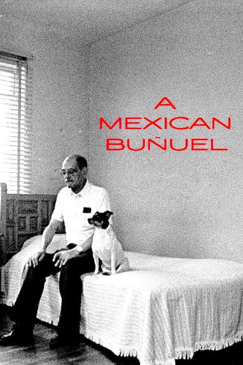 Un Buñuel mexican (1997) poster