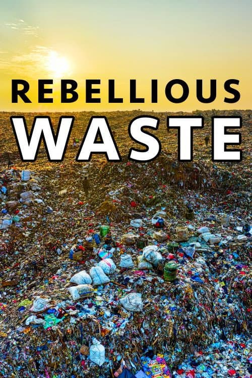 Rebellious Waste (2020) poster