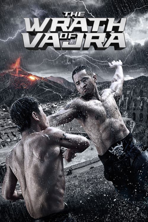 The Wrath of Vajra (2013) poster