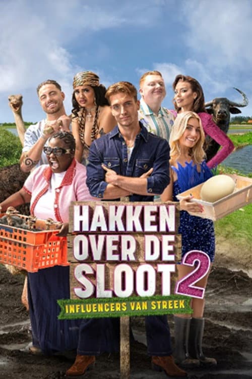 Hakken over de Sloot (2025) poster