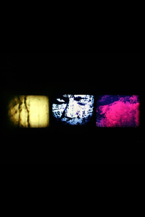 Osmosis (2002) poster