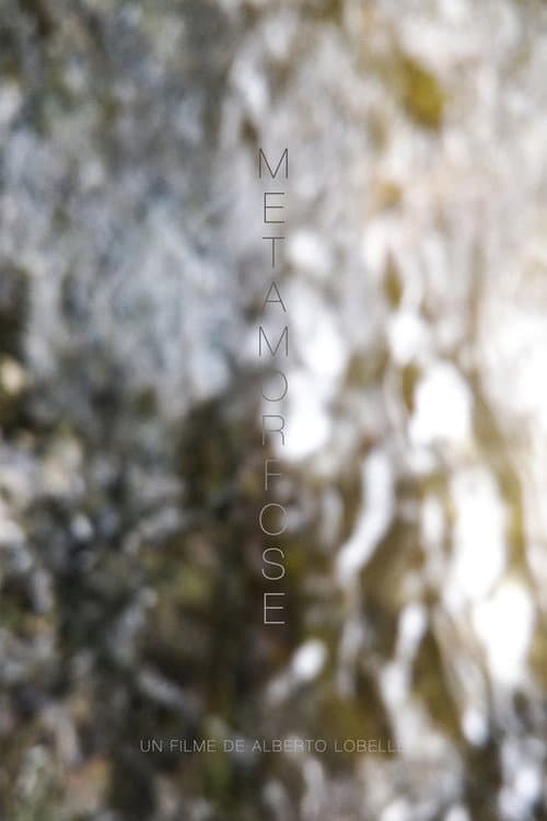 Metamorfose (2021) poster