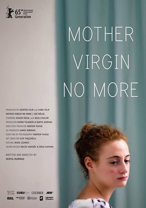 Gri Bölge (2015) poster