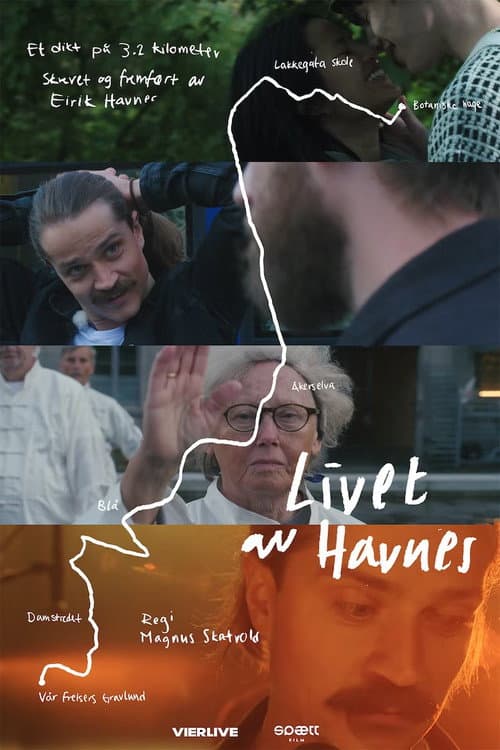 Livet av Havnes (2020) poster