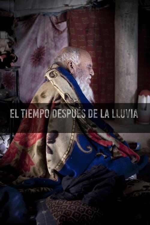 El temps després de la pluja (2023) poster