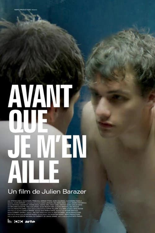 Avant que je m'en aille (2019) poster