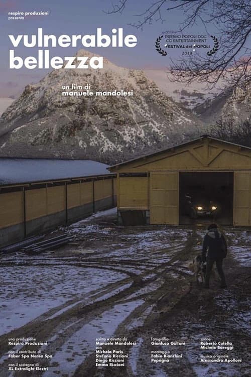 Vulnerabile Bellezza (2019) poster