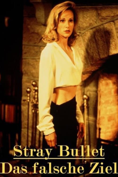 Stray Bullet (1999) poster