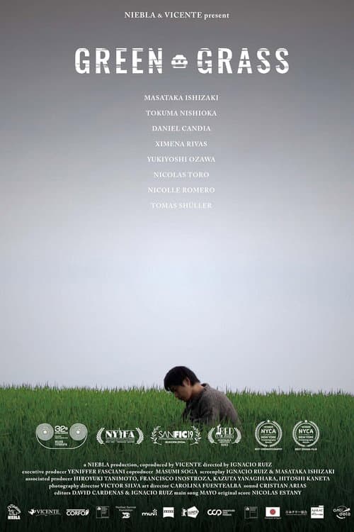 Green Grass (2022) poster