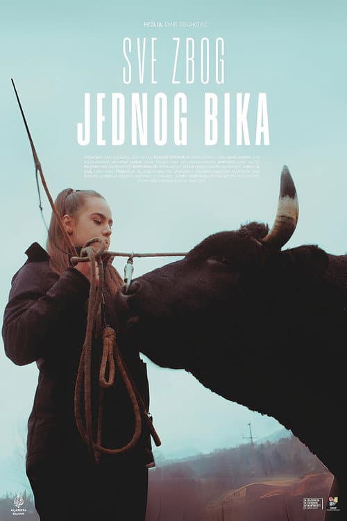 Sve zbog jednog bika (2024) poster