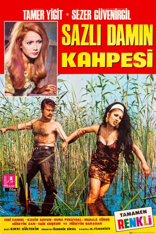 Sazlı Damın Kahpesi (1969) poster