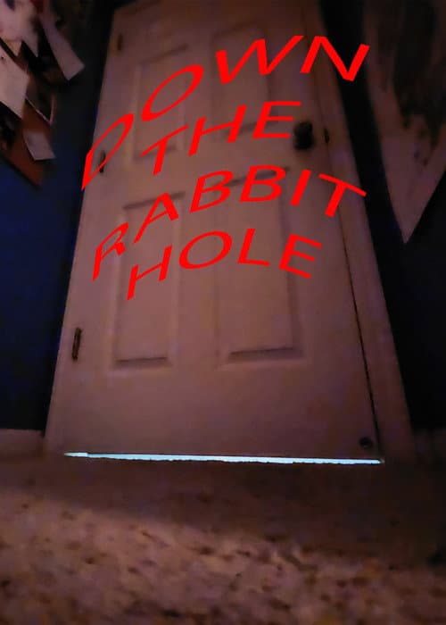 Down the Rabbit Hole (2023) poster