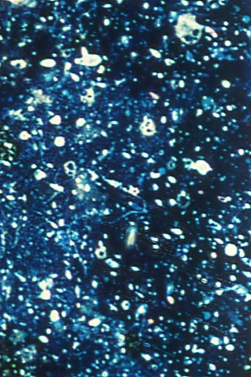 Ephemeral Solidity (1993) poster