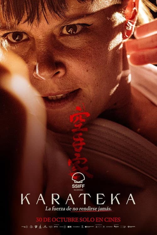 Karateka (2026) poster