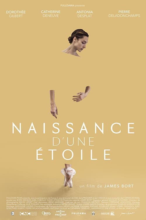 Naissance d'une étoile (2017) poster