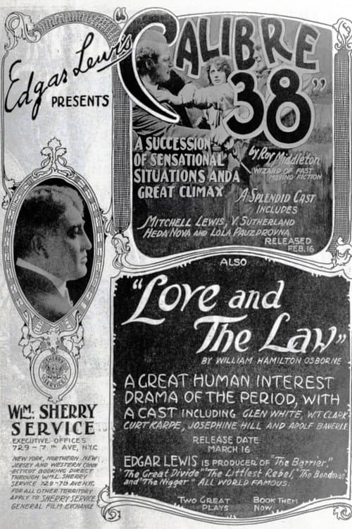 Calibre 38 (1919) poster