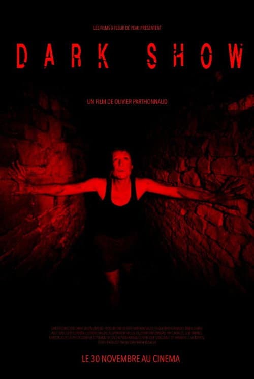 Dark Show (2016) poster