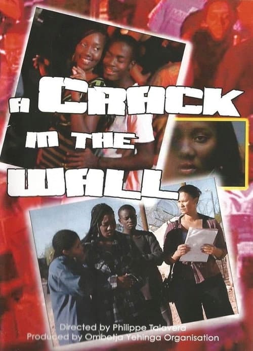 A Crack in the Wall (2009) poster