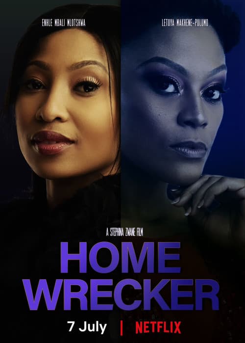 Home Wrecker (2023) poster