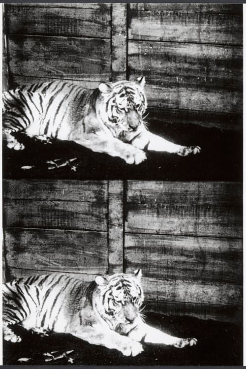Beasts of the Jungle (1913) poster