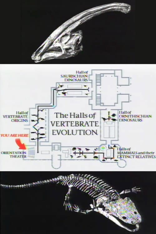 The Halls of Vertebrate Evolution (1995) poster
