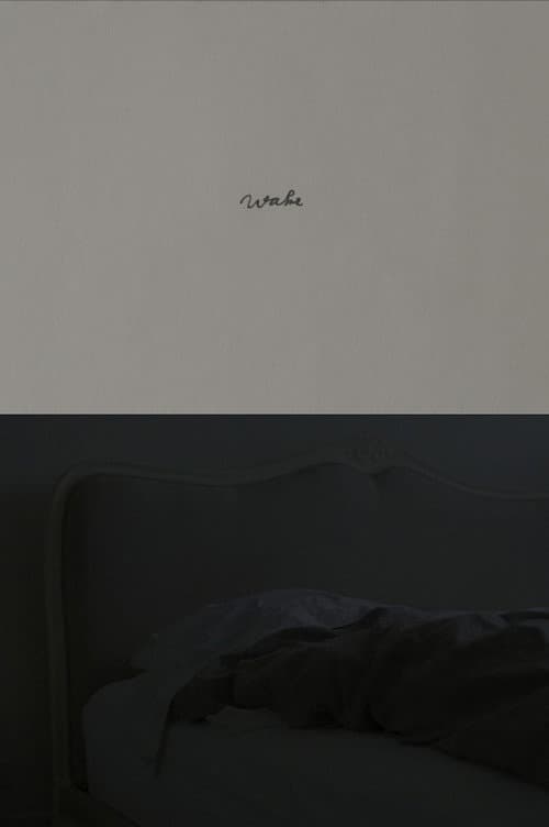Wake (2026) poster