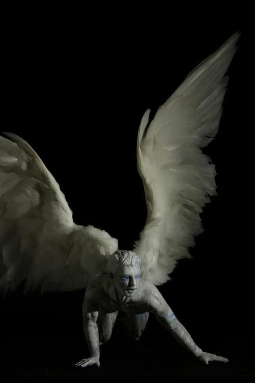 Plume (2011) poster