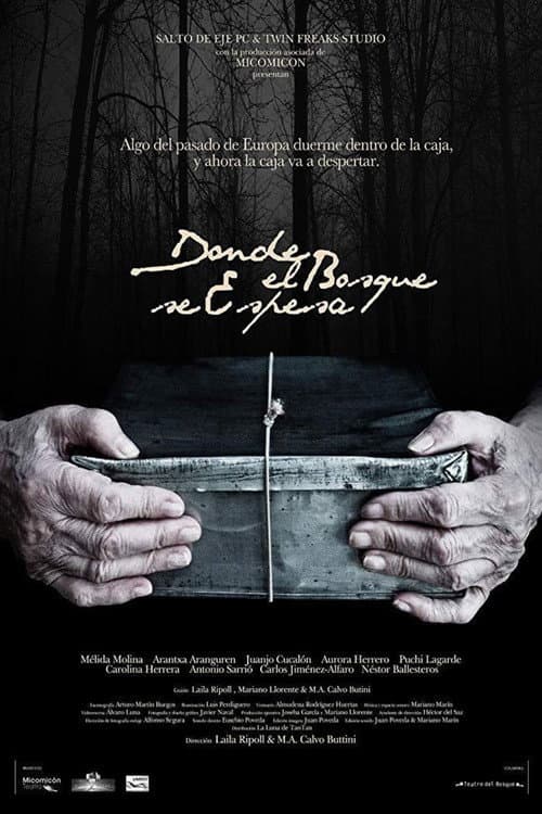Donde el bosque se espesa (2017) poster