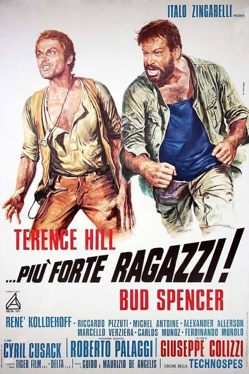 De Vier Vuisten de Lucht in (1972) poster