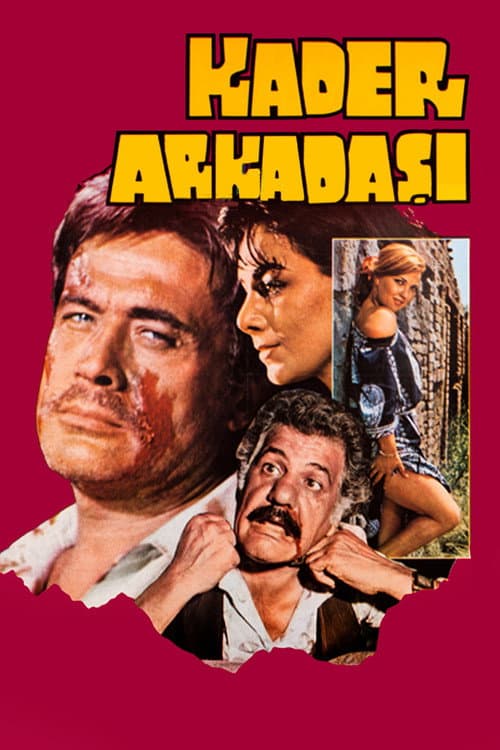 Kader Arkadaşı (1981) poster