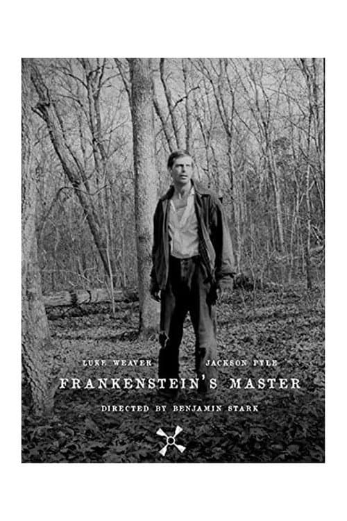 Frankenstein's Master (2013) poster