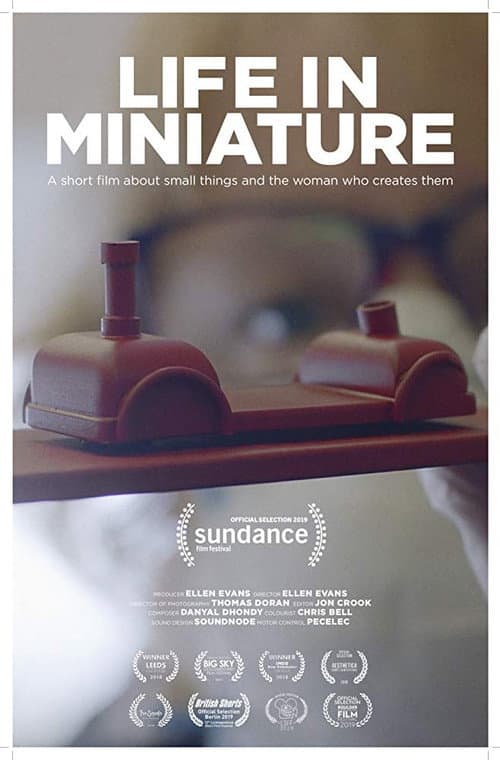 Life in Miniature (2018) poster