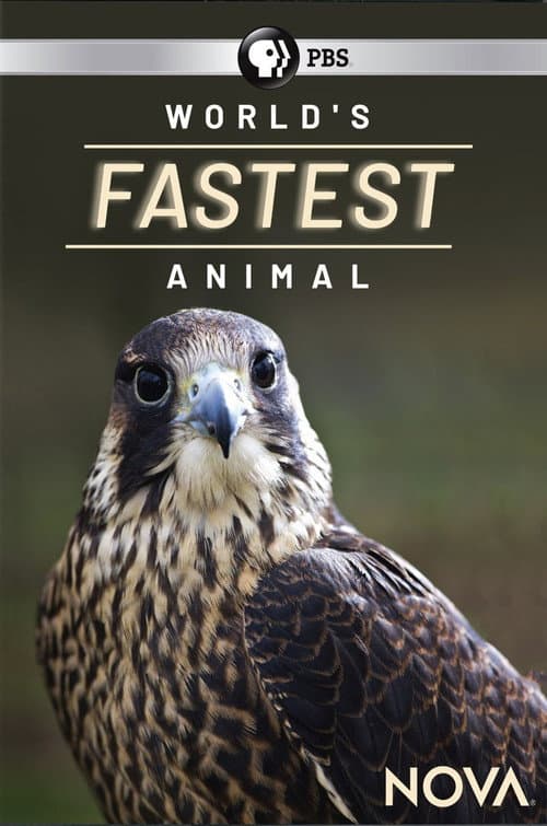 World's Fastest Animal (2018) poster