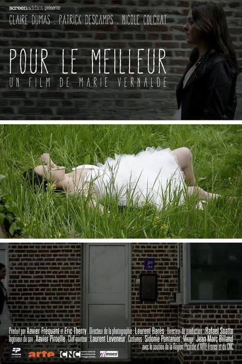 Pour le meilleur (2013) poster