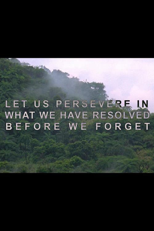 Let Us Persevere in What We Have Resolved Before We Forget (2013) poster