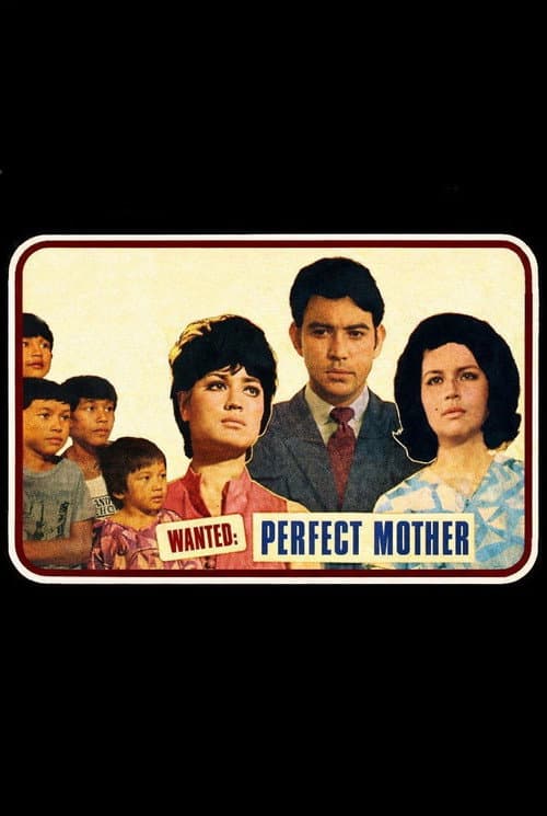 Wanted: Perfect Mother (1970) poster
