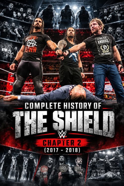 Complete History of The Shield - Chapter 2 (2018) poster