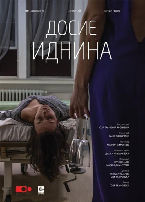 Досие Иднина (2023) poster