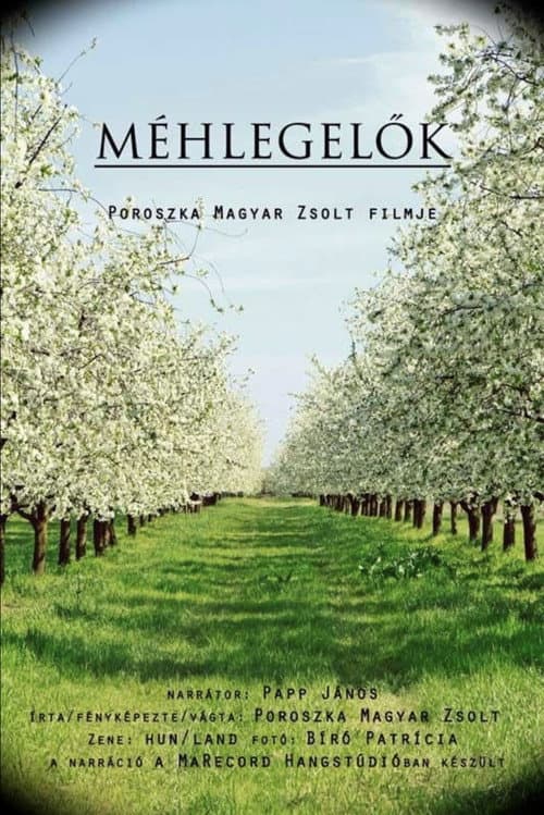 Méhlegelők (2017) poster