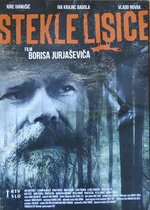 Stekle lisice (2017) poster