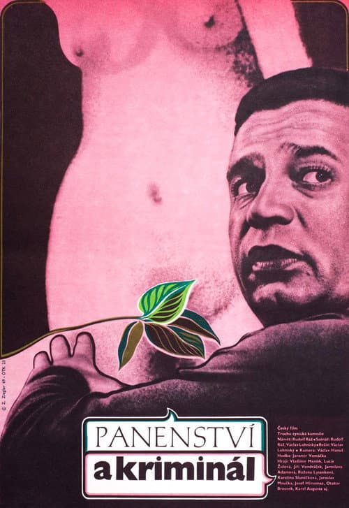 Panenství a kriminál (1970) poster