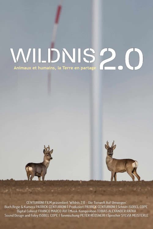 Wildnis 2.0 - Die Tierwelt auf Umwegen (2024) poster