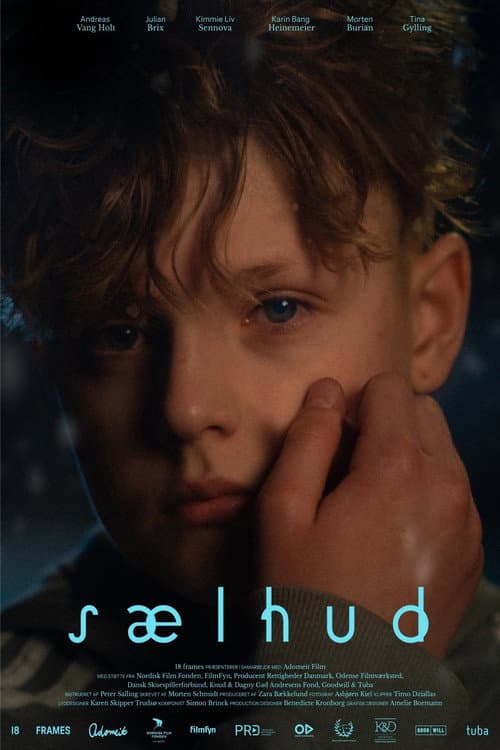 Sælhud (2024) poster