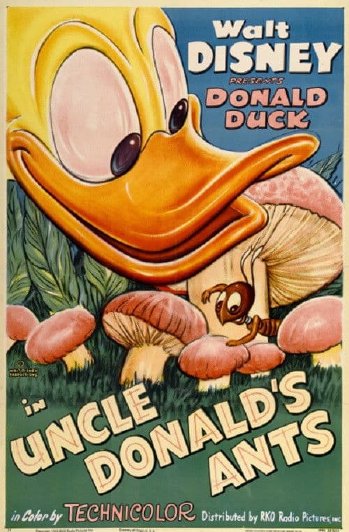 Uncle Donald's Ants (1952) poster