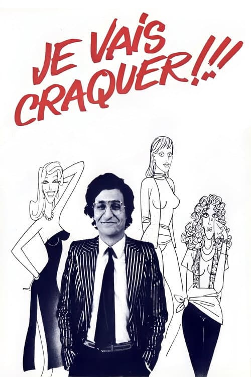 Je vais craquer !!! (1980) poster