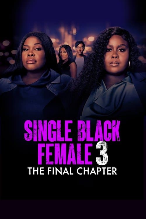 Single Black Female 3: The Final Chapter (2025) poster